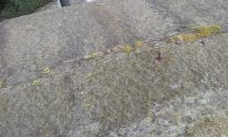 sandymount tower 10975.jpg